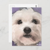 Maltipoo Briefkaart (Voorkant / Achterkant)