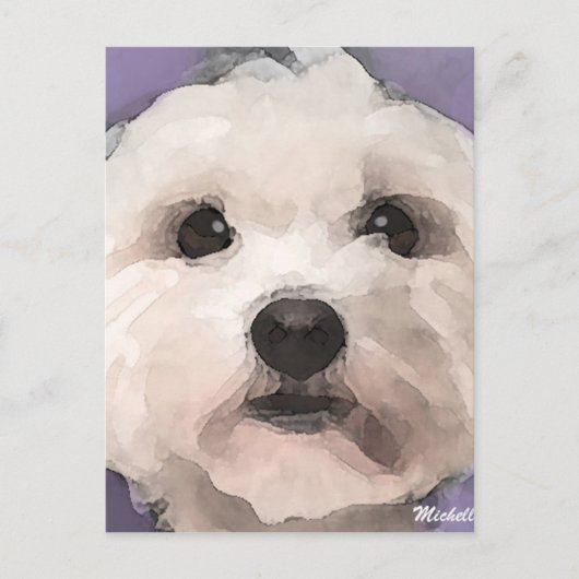 Maltipoo Briefkaart (Voorkant)