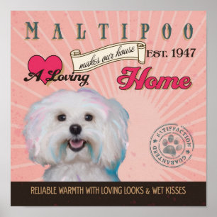 Maltipoo Dog Art Poster - Ons Huis thuis