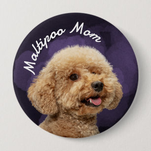 Maltipoo mama met paarse achtergrond ronde button 4,0 cm