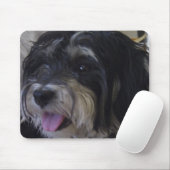 maltipoo mousepad muismat (Met muis)