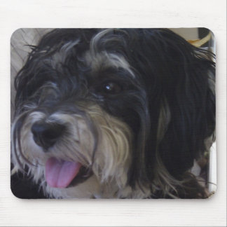 maltipoo mousepad muismat