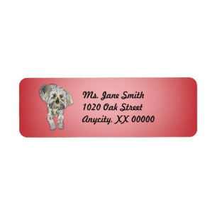 Maltipoo Puppy op roze Etiket