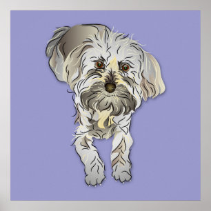 Maltipoo Puppy Poster