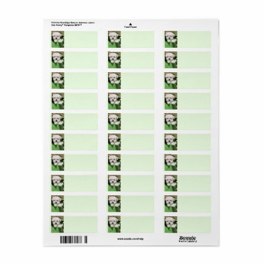 Maltipoo Puppy Retour Verzendlabels Etiket (Full Sheet)