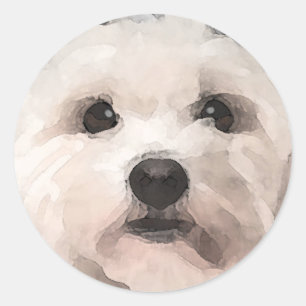 Maltipoo Ronde Sticker