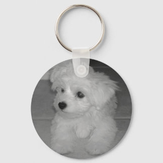 Maltipoo Sleutelhanger