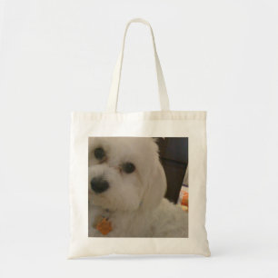 Maltipoo Tas