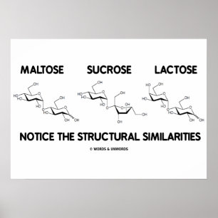 Maltose Sucrose Lactose Structurele overeenkomsten Poster