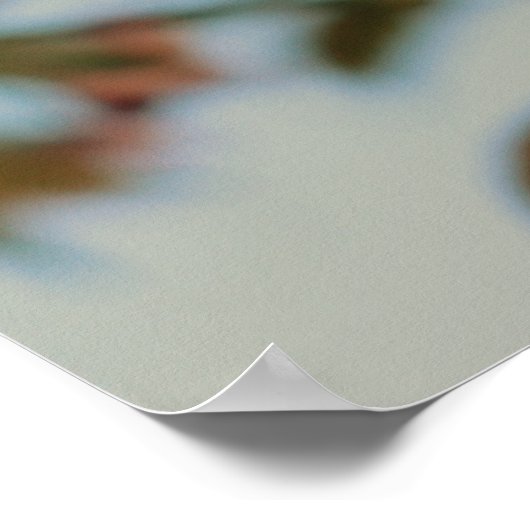 Malus Brandywine Crabapple Tree Spring Pink Bloom Poster (Hoek)