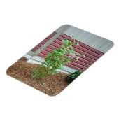 Malva Magneet (Linkerzijde)