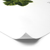 Malva silvestris poster (Hoek)