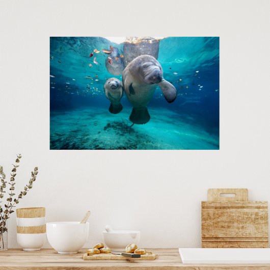 Mam en Baby Manatee (drie zusters pit) Poster (Keuken)