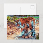 Mam en Baby tijger Briefkaart (Voorkant / Achterkant)