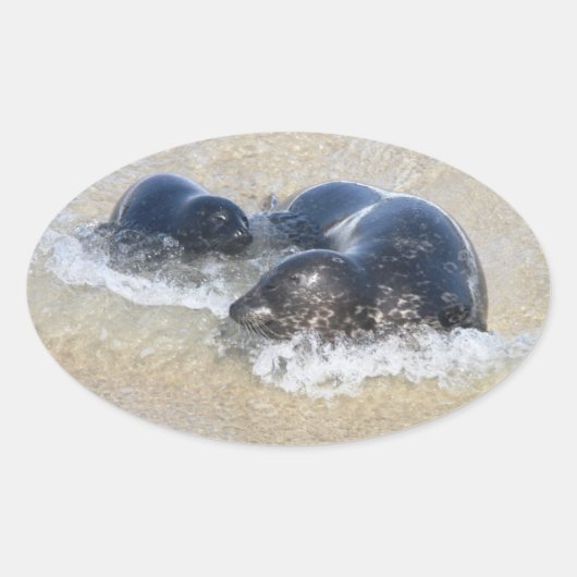 Mam en baby zeehond ovale sticker (Voorkant)