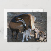 Mam en baby's briefkaart (Voorkant / Achterkant)