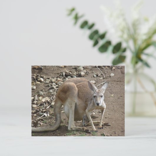 Mam en joey briefkaart (Staand voorkant)