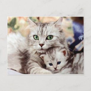 Mam en zoon briefkaart