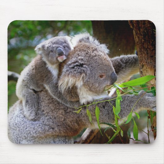 Mam en zoon Koala Muismat (Voorkant)