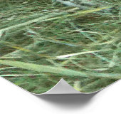 Mam Goat met Baby Ginger Poster (Hoek)