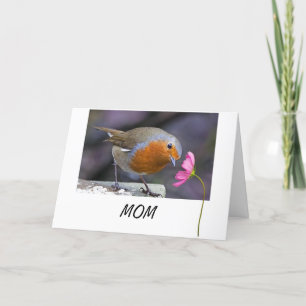 MAM VERDIENT DE BEST=NO TWEETS=A KAART VOOR JOU!