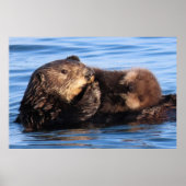 Mam Zee Otter en haar Schattig Pup Poster (Voorkant)