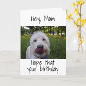 ***MAM*** ZO BLIJ DAT JE "JE DOCHTER" VERJAARDAG B KAART (Gele Bloem)