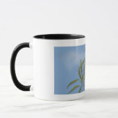 Mama & Baby Panda Mok (Links)