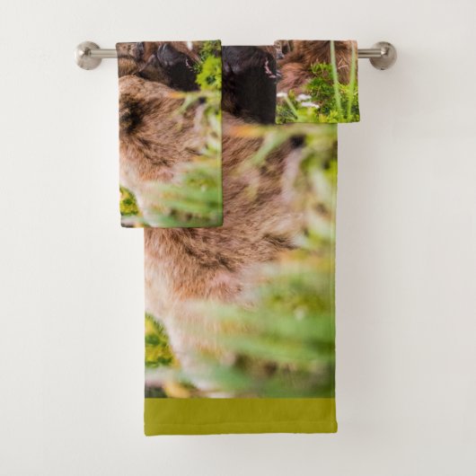 Mama bear nourrit ses deux petits, Lake Clark Nati (En situation)