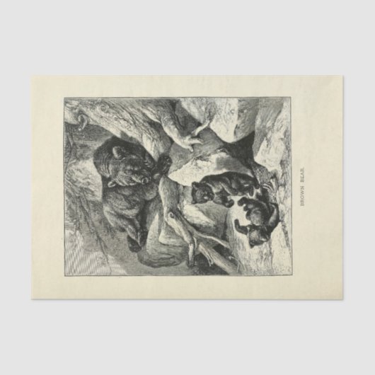  Mama Beer Ephemera Decoupage Tissuepapier (Voorkant)