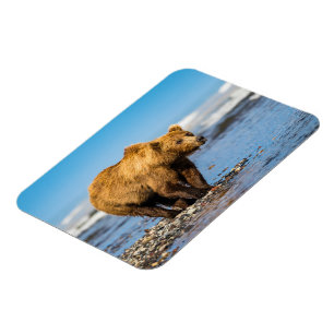 Mama beer kijkt naar haar twee kinderen magneet