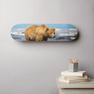 Mama beer kijkt naar haar twee kinderen skateboard