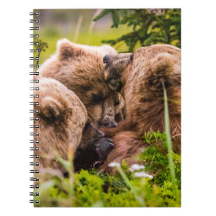 Mama beer verzorgt haar twee cubs, Lake Clark Nati Notitieboek
