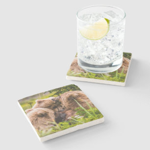 Mama beer verzorgt haar twee cubs, Lake Clark Nati Stenen Onderzetter