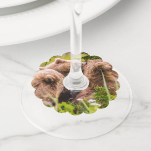 Mama beer verzorgt haar twee cubs, Lake Clark Nati Wijnglaslabel