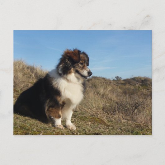 Mama Briefkaart (Voorkant)