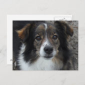 Mama Briefkaart (Voorkant / Achterkant)