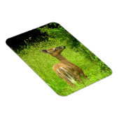 Mama Deer Browsing Magneet (Rechterzijde)