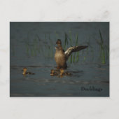 Mama Duck avec carte postale (Devant)