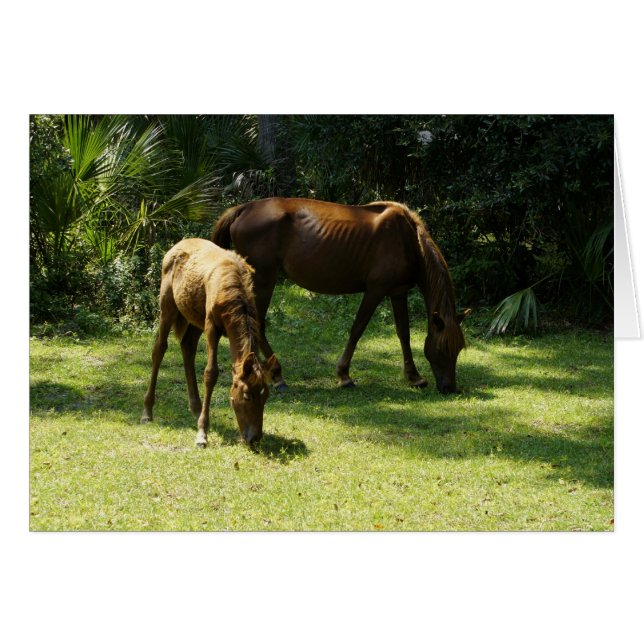 Mama en Baby (Voorkant Horizontaal)