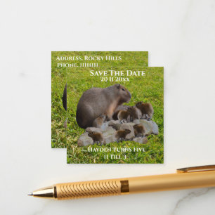 Mama en Baby Capybaras, red de datum Informatiekaartje
