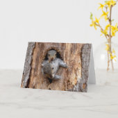 Mama en Baby Eekhoorn - Natuur Wenskaart Kaart (Gele Bloem)