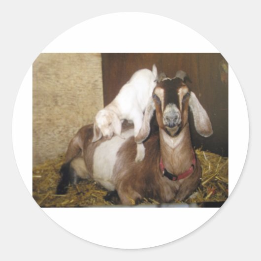 Mama en Baby Geit Ronde Sticker (Voorkant)