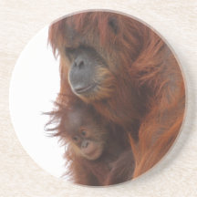 Mama en baby Orangutan