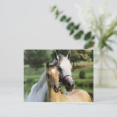 Mama en Colt Briefkaart (Staand voorkant)