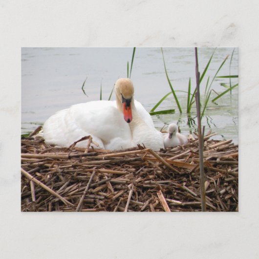 Mama en ik (2) Briefkaart (Voorkant)