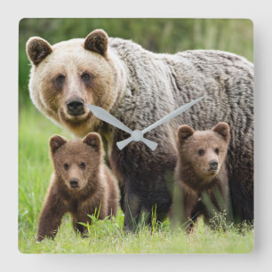 Mama et bébés Grizzly Ours Carré Horloge murale