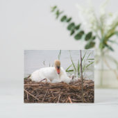 Mama et moi (2) Carte postale (Debout devant)