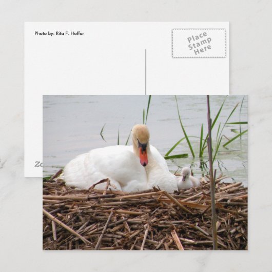 Mama et moi (2) Carte postale (Devant / Derrière)