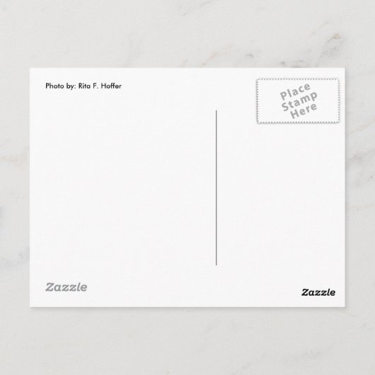 Mama et moi (2) Carte postale (Dos)